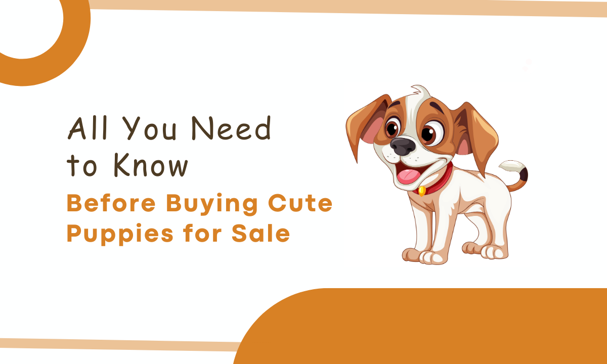 Cute Puppies for Sale