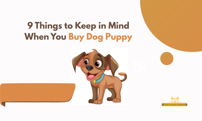 Buy Dog Puppy