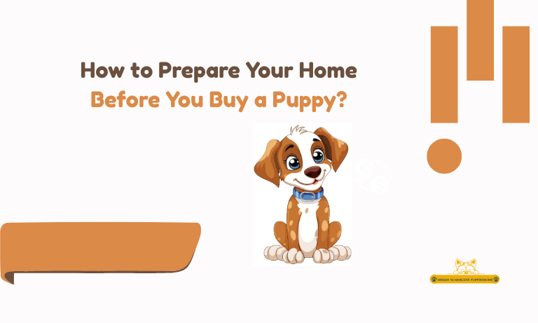 Buy a Puppy